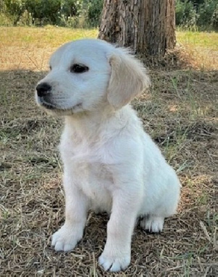 AIMY